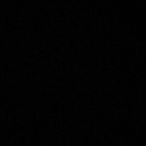 Meet your Posher, Fiona